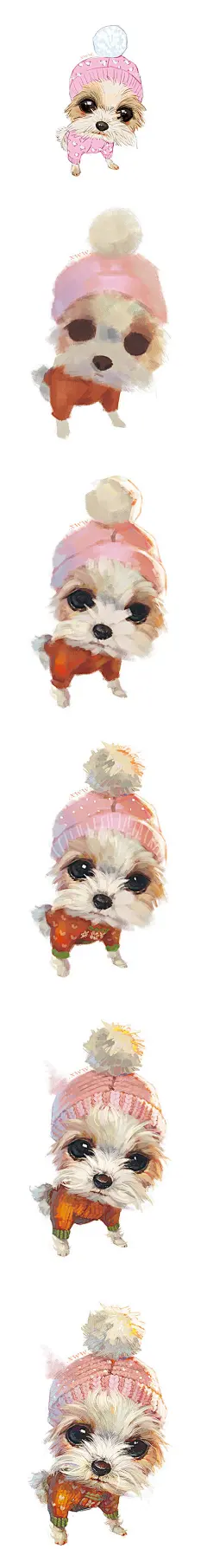 【定制版NO.28】——茶杯西施Money
铲屎官：Sophie 
萌宠名：Money 
性别：女生 
年龄：5岁零9个月
品种：Tea-cup Shorkie(茶杯西施约克夏）