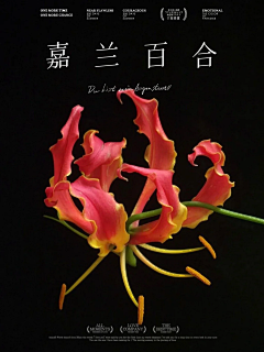 帅帅苍采集到花