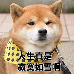 柴犬表情包 的图像结果