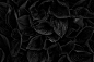 Jewelry / part 2 : 2016