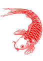 集
