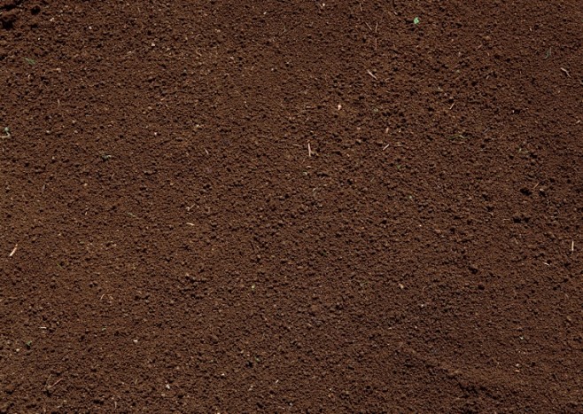 土壤土壤表面土壤剖面土壤截面土壤贴图土