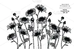 式样,贺卡,边框,复古风格,铅笔画,植物,夏天,线条画,草图,绘画插图
