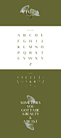 Free - Viola Typeface : Free Viola Typeface for personal use.