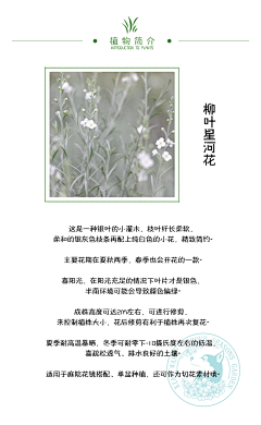 ylllling采集到植物品种