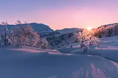 December Afternoon