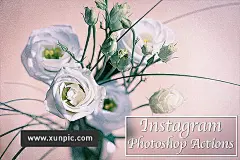 50个insPS动作合集 50 Instagram Photoshop Actions 插件/软件 