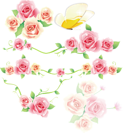 Jxni采集到杂PNG