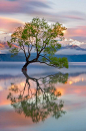 500px / Lake Wanaka by Karen Plimmer