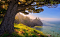 General 1920x1200 nature landscape Oregon sea sunlight coast forest grass trees