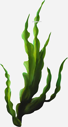 幻树采集到杂