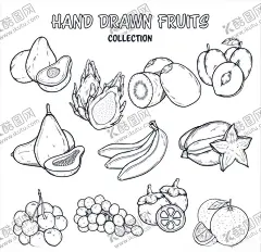 手绘线稿水果 【酷图网】水彩,彩绘,矢量,卡通,美味,梨,桃子,香蕉,葡萄,橙子,杨桃,新鲜,水果,果子,手绘水果,彩绘水果,切开的水果,水果矢量图,水果矢量素材,水彩水果素材,彩绘水果素材,水果彩绘,插画,水果插画