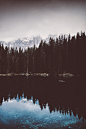 (17) Tumblr