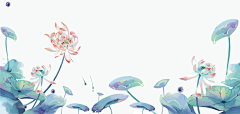 彦的迷弟采集到A-荷叶插画png