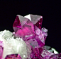 SpiriferMinerals.com - minerals specimens, mineral specimens, minerals collecting, high quality minerals, fluorite, tourmaline