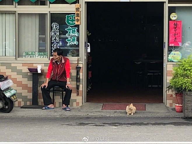 人跟貓都在看店，姿勢還都一樣

——we...