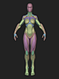 Stylized Female Blockout v1