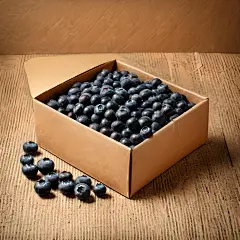 水果蓝莓高清图片素材