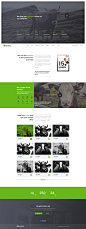 Origano - Organic Store Template : Origano - Organic Store Template
