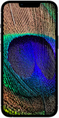 iPhone 13 Pro 和 iPhone 13 Pro Max : iPhone 13 Pro 和 13 Pro Max 登场，摄像头系统迎来巨大提升，新的 OLED 显示屏支持 ProMotion 技术，A15 仿生芯片快如闪电，电池续航更是再创新高。