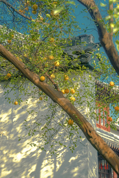 光秃秃的一小枝采集到D-场景摄影