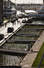 #landarch #urbandesign Taylor-Cullity-Lethlean_AucklandWaterfront_19    Adjacent to Silo Park is a large bio-retention wetland that collects stormwater from the wider site.