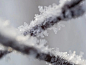 Frosty February #1
