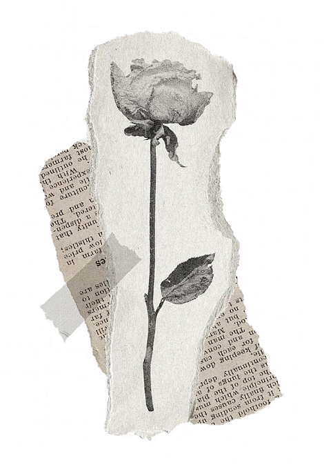 玫瑰-报纸-手撕纸