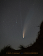 2021年伦纳德彗星（C/2021 A1 Leonard）VS2020年新智彗星（C/2020 F3 Neowise）