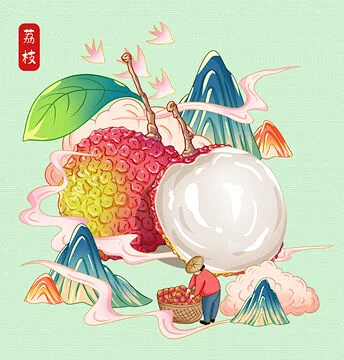 荔枝插画手绘-花瓣网