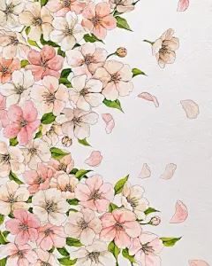 水彩---樱花-梨花-桃花-海棠花、梅花 - 高清图片，堆糖，美图壁纸兴趣社区