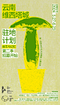 云南维西塔城驻地计划：技艺与记忆｜BCAF 东边绿洲专项基金