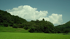 我叫：苏婷大爷采集到电影场景