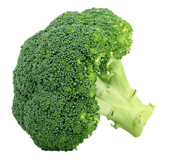 卡卡枔采集到食物