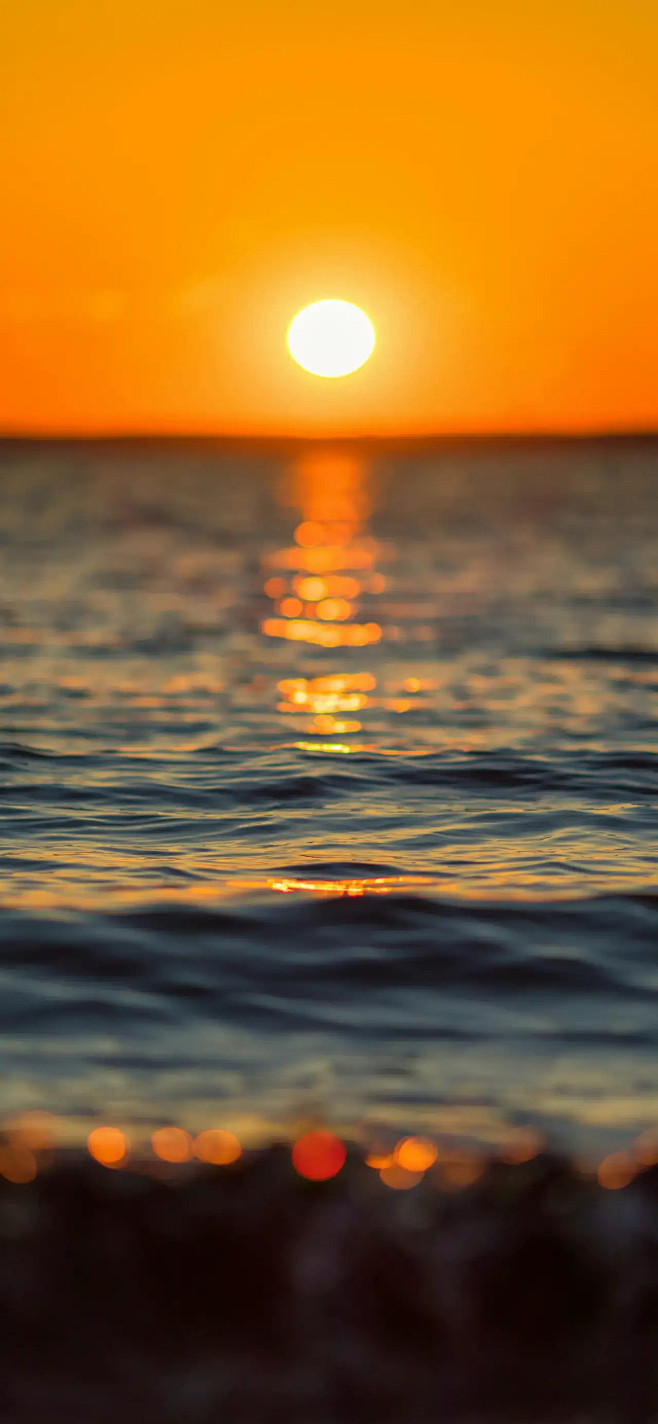 海