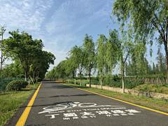 波寒冬采集到绿道