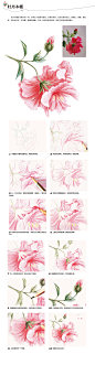 本案例摘自人民邮电出版社出版的《拿笔就画：色铅笔手绘花卉从入门到精通》http://product.dangdang.com/25064959.html