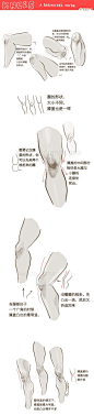 【初学者向】关于膝盖，需要注意的一些tips （via：Salacia 最后一P 长条图备用）
