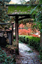 Giardino giapponese,japana ĝardeno, Japanese Garden, japanischen Garten, japon bahçesi, jardin japonais,  Японский сад