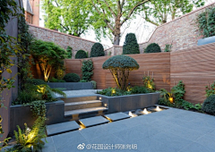 写诗的蜗牛采集到庭院