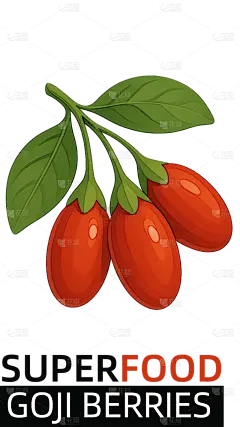 常规系列-植物系列写实感枸杞插画元素