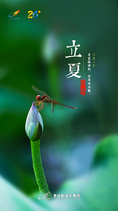猫猫拯救世界中采集到节日 节气海报