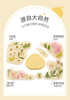 明天wln采集到功能点