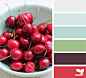 Design Seeds : Design Seeds color palettes ... posted daily for all who love color.