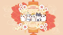 0电脑壁纸4