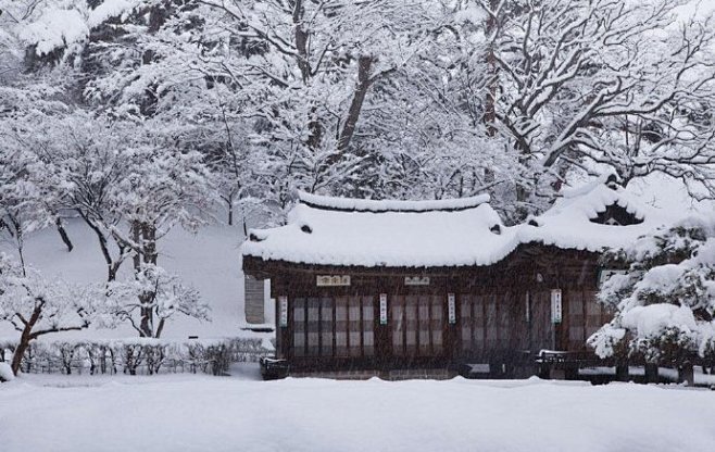 “起爐烹茶慢慢飲，靜聽雪落簌簌聲。” ​...