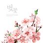 粉红桃花 植物叶子 手绘植物 植物插图插图设计PSDtid321t000006