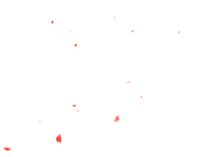 抠图大亨采集到Tx特效（花瓣/树叶/蝴蝶）