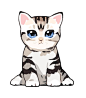 .

GENTLECAT twi:gentleeeeeeecat O网页链接 ​​​​