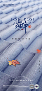 霜降节气海报